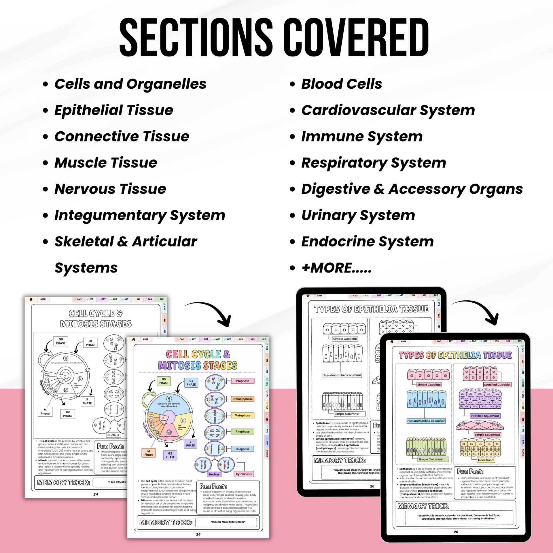 Histology Study Guide Printable PDF, Anatomy Coloring Book for Nursing Students, Cell Tissue Organ System Digital Download