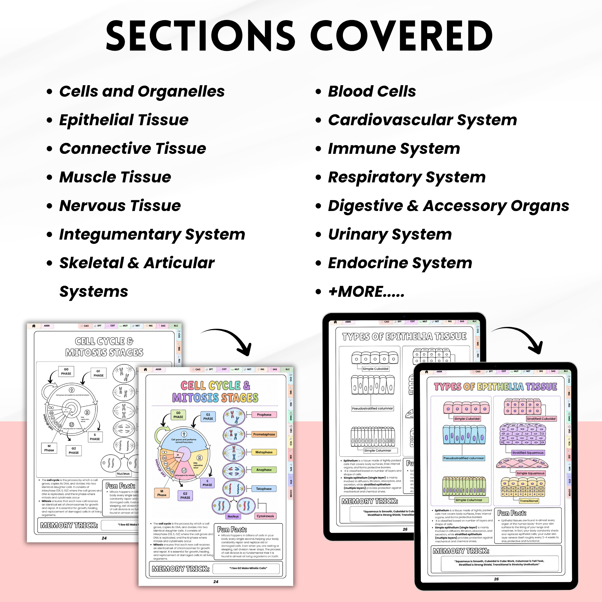 Nursing Student Histology Coloring Book Spiral Bound, Anatomy Study Guide, Medical School Tissue Cell Physical Workbook Gift