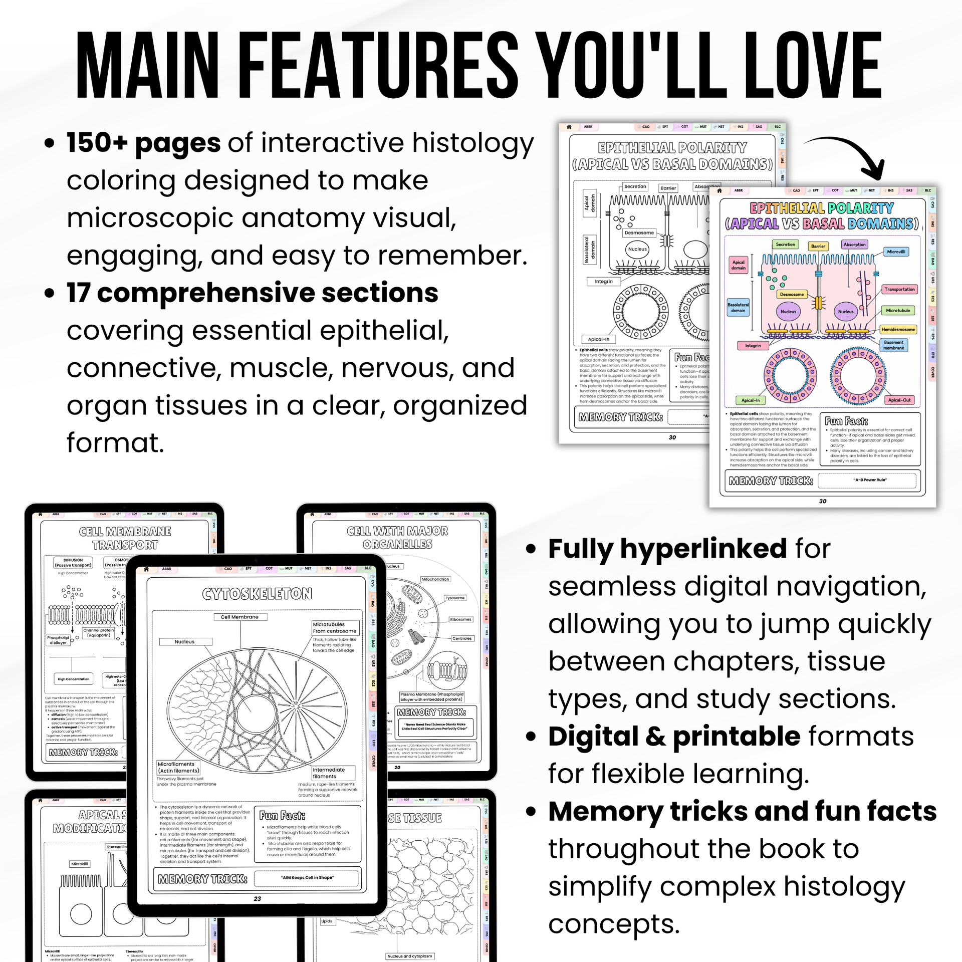 Histology Study Guide Printable PDF, Anatomy Coloring Book for Nursing Students, Cell Tissue Organ System Digital Download