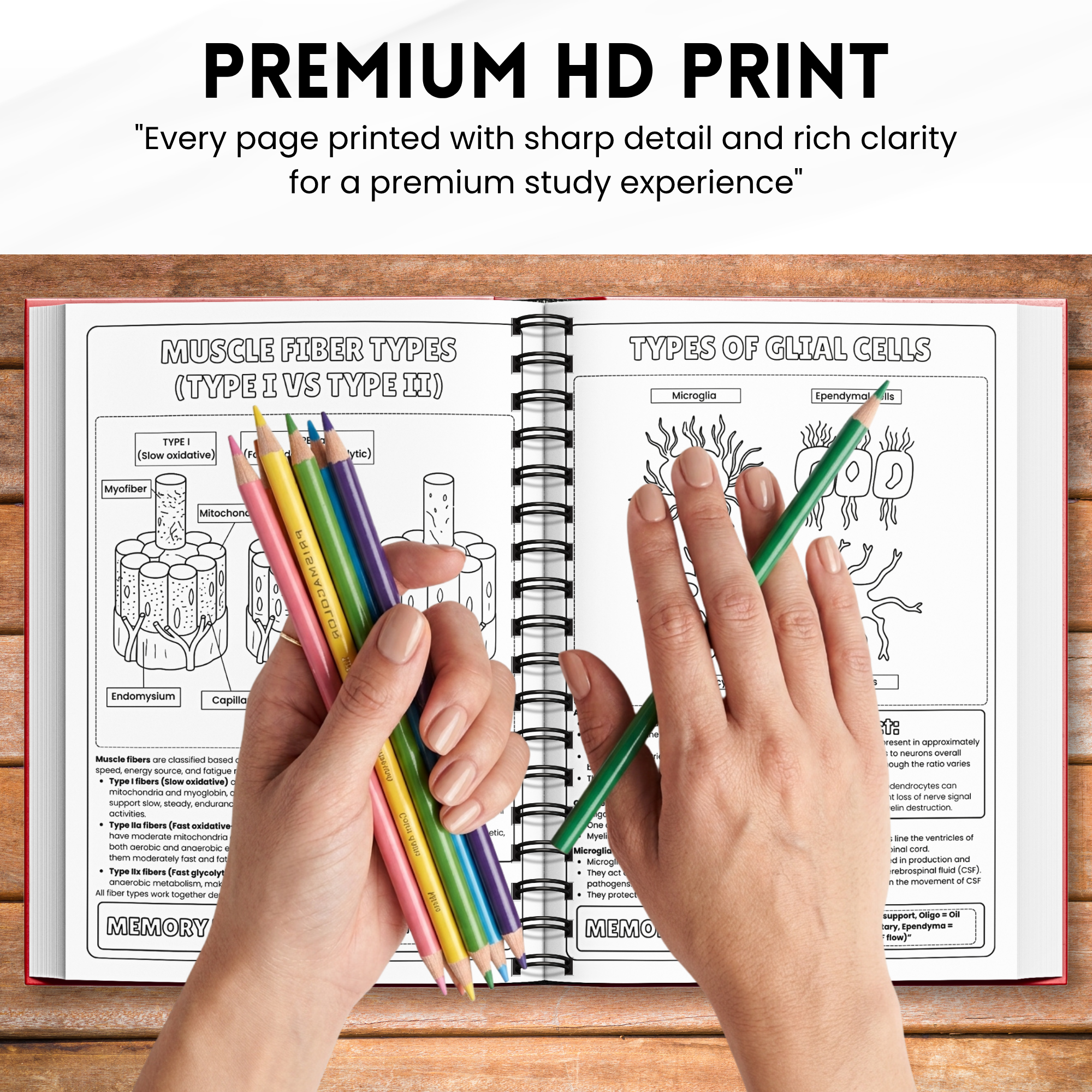 Nursing Student Histology Coloring Book Spiral Bound, Anatomy Study Guide, Medical School Tissue Cell Physical Workbook Gift