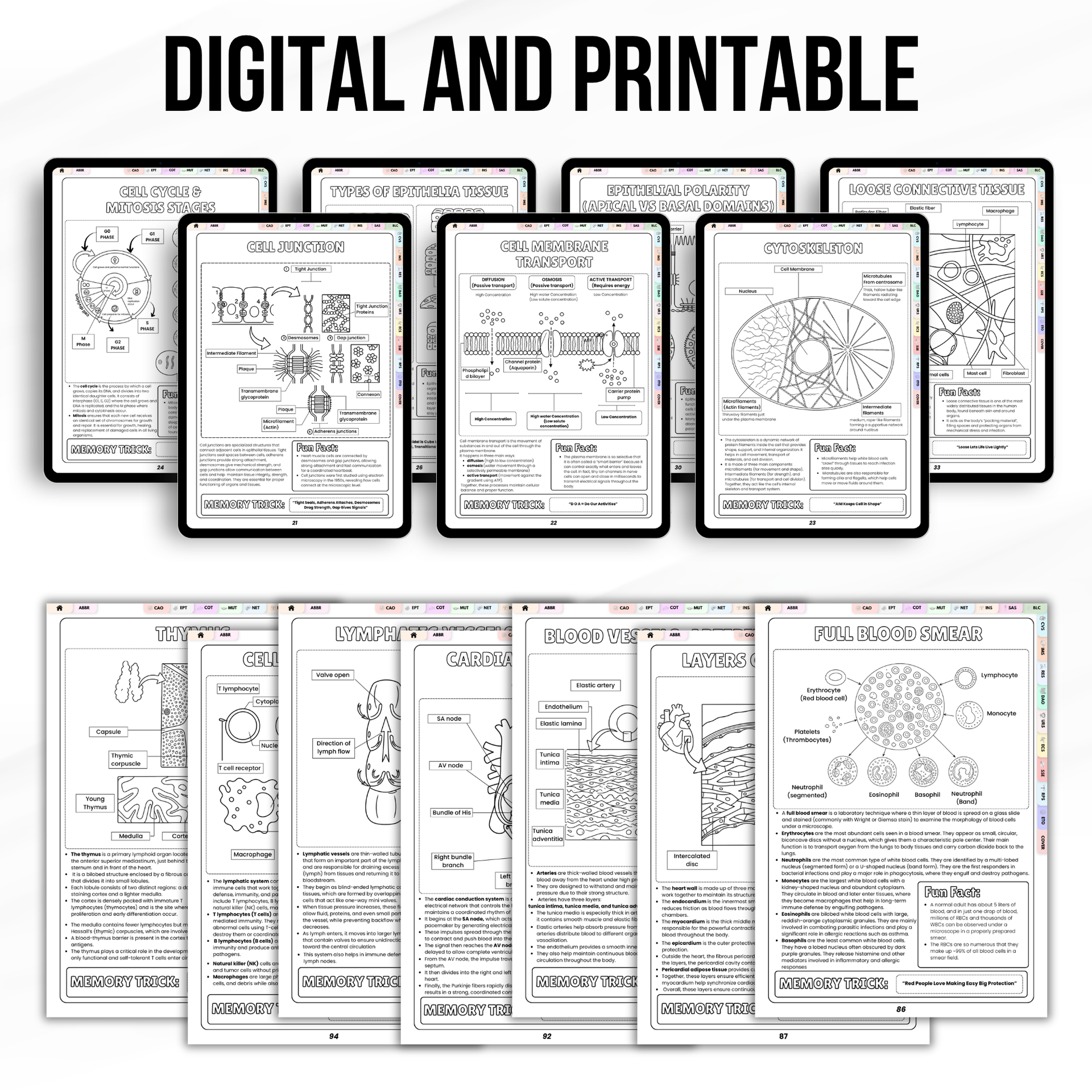 Histology Study Guide Printable PDF, Anatomy Coloring Book for Nursing Students, Cell Tissue Organ System Digital Download