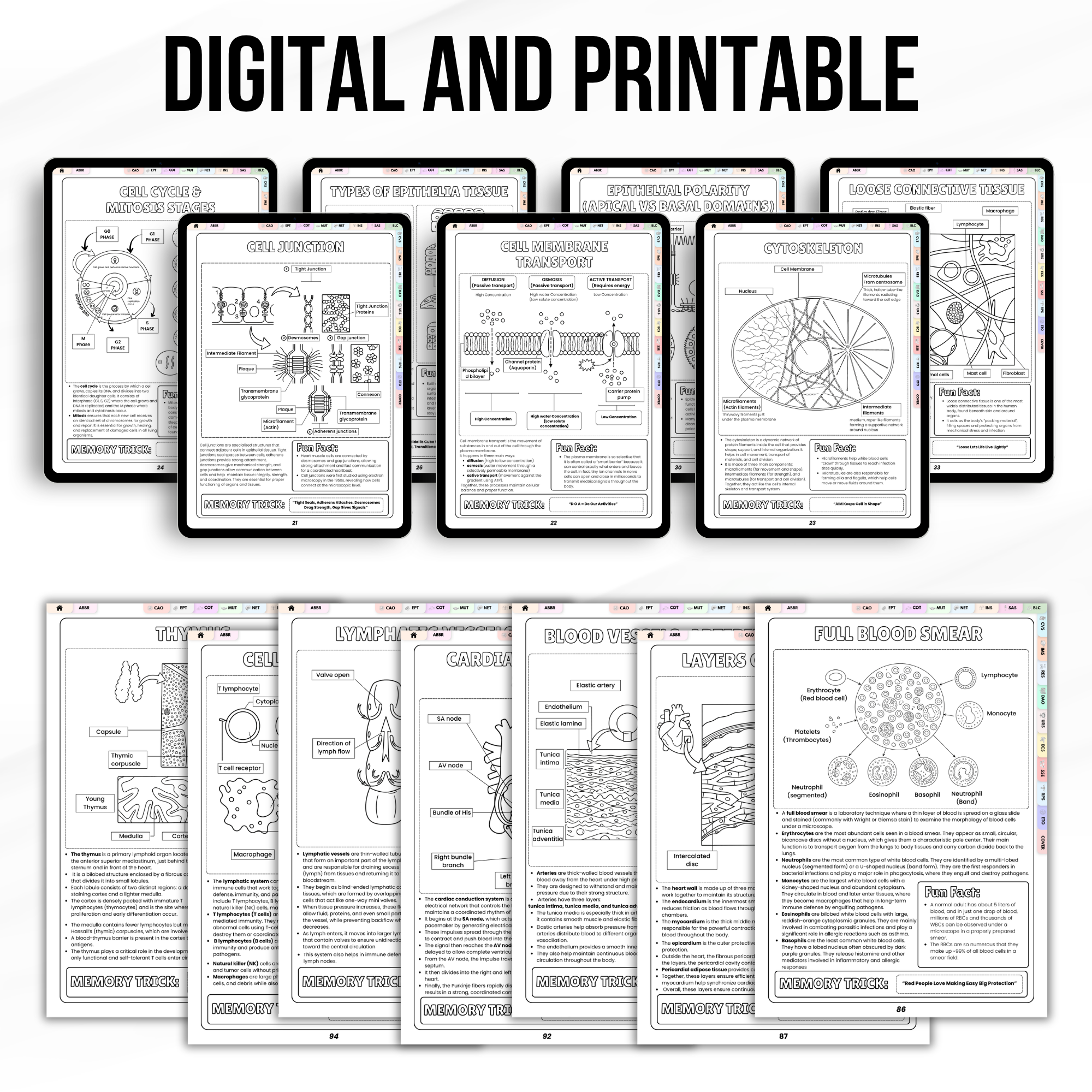Histology Study Guide Printable PDF, Anatomy Coloring Book for Nursing Students, Cell Tissue Organ System Digital Download