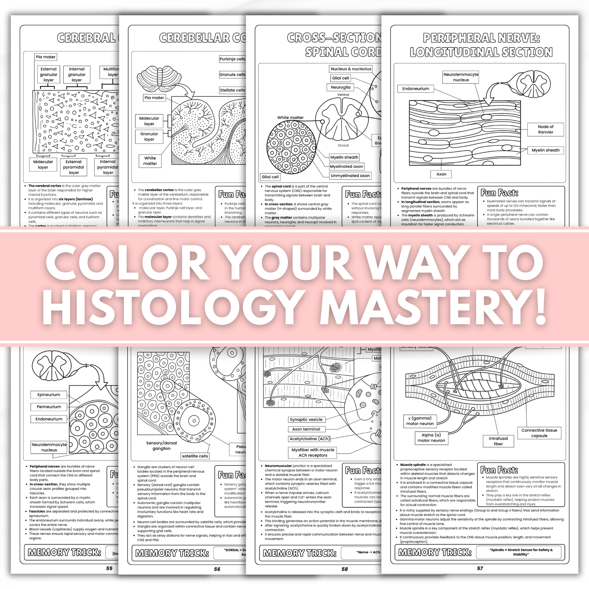 Nursing Student Histology Coloring Book Spiral Bound, Anatomy Study Guide, Medical School Tissue Cell Physical Workbook Gift