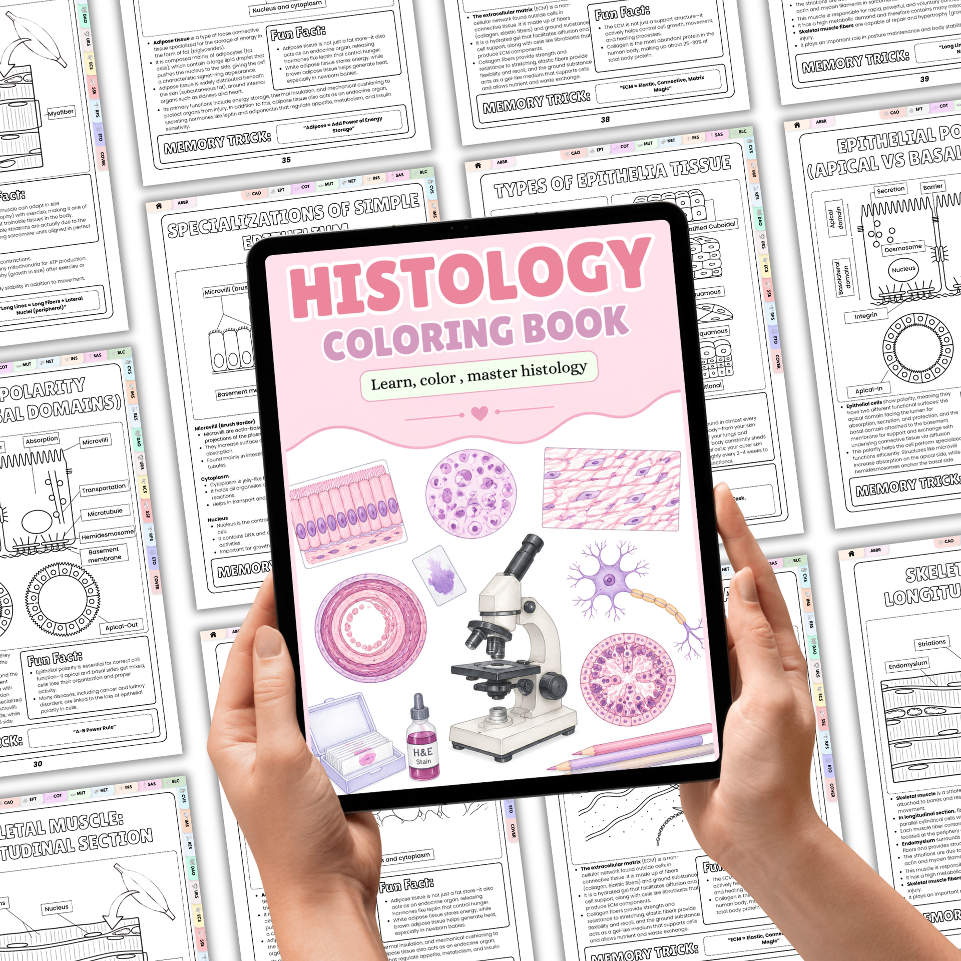 Histology Study Guide Printable PDF, Anatomy Coloring Book for Nursing Students, Cell Tissue Organ System Digital Download