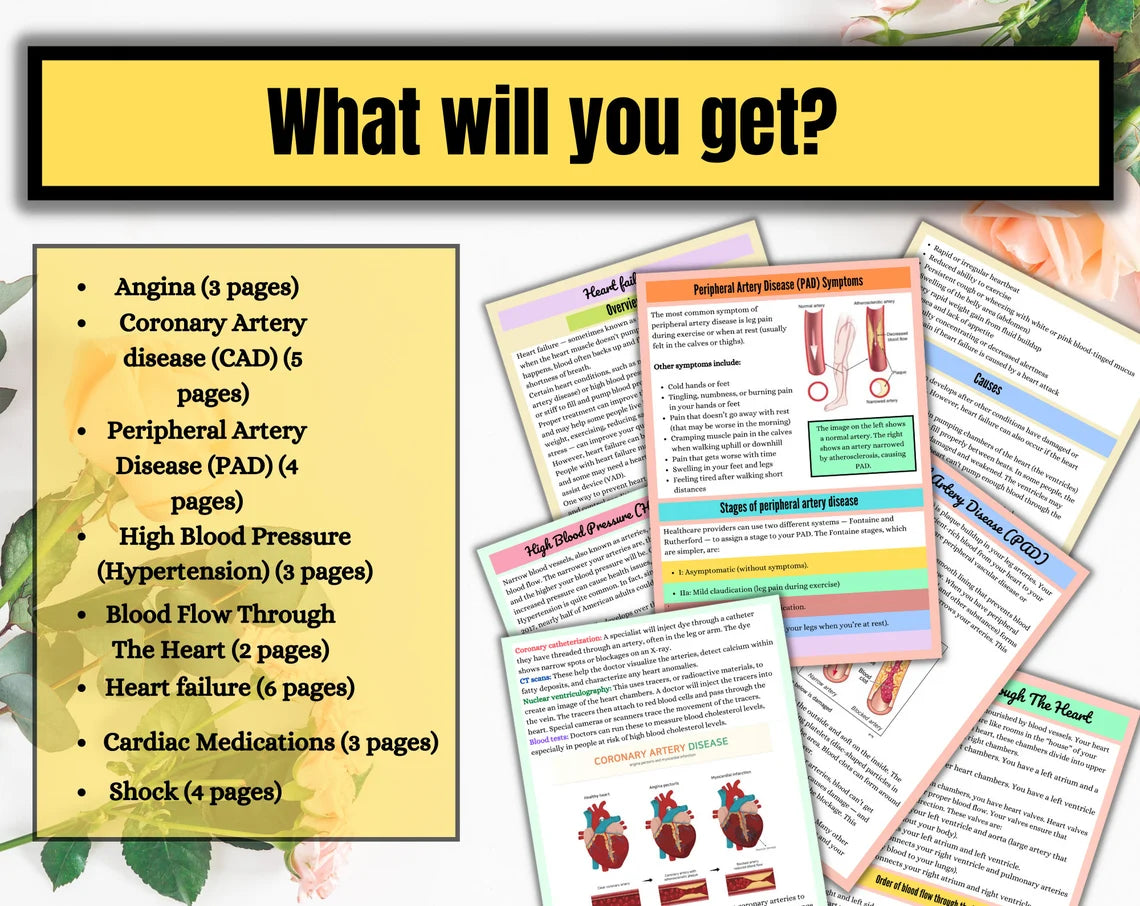 Cardiovascular System | Anatomy Notes | Instant Download | Cardiac Nurse Notes | Nursing Study Notes | 30 Pages of Bundle | PDF Download