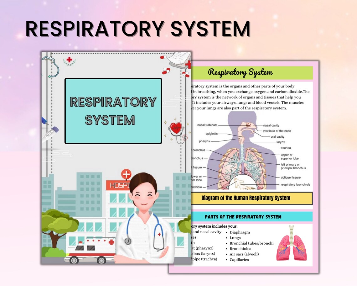 Respiratory System Bundle | Med Surg Nursing Study | Instant Download | Respiratory med surg | 29Pages | PDF