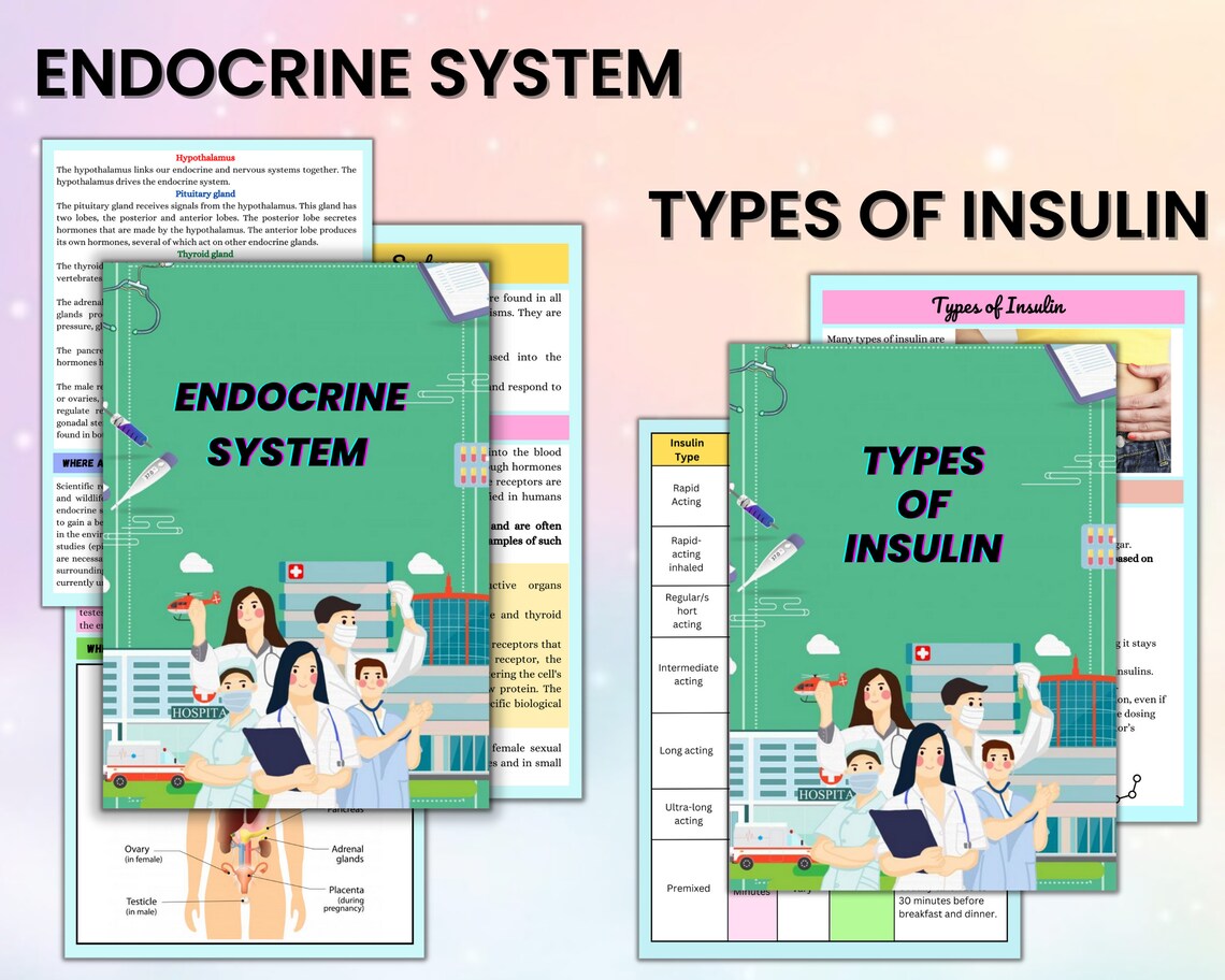Endocrine System Bundle42page | Nursing Study Guide | Endocrine Med Surg | Endocrine Note | Instant Download | PDF File | Endocrine Disorder