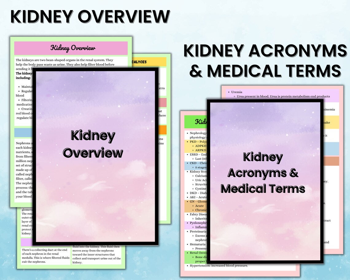 Urinary Disorder | Renal System Study Guide | Nursing Notes | Digital Download | Med Surg | PDF