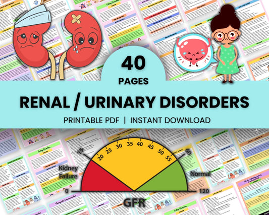 Urinary Disorder – Renal System Study Guide (PDF)