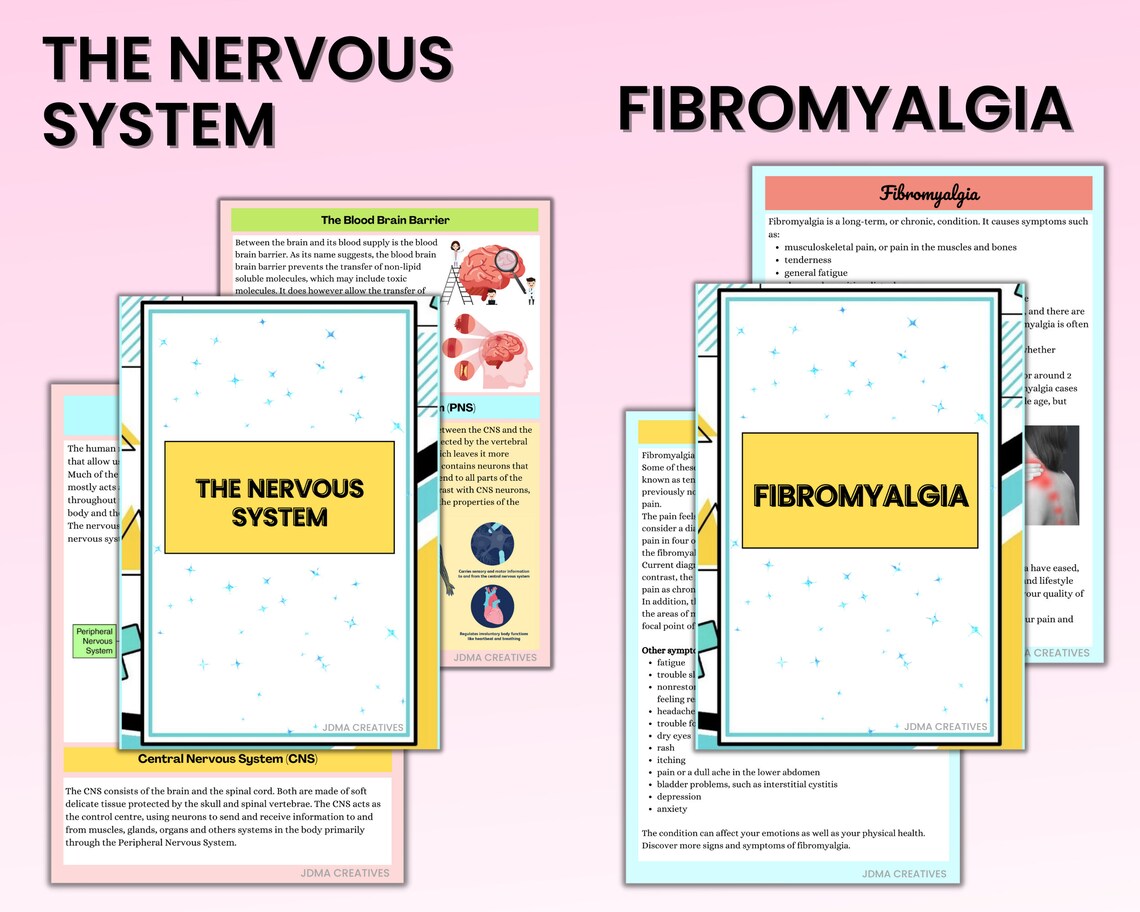 Neurological System | Neuro Bundle Notes | Med Surg Notes | Pritnable Notes 41 pages | Instant Download | Nursing Study Guide | Digital Note