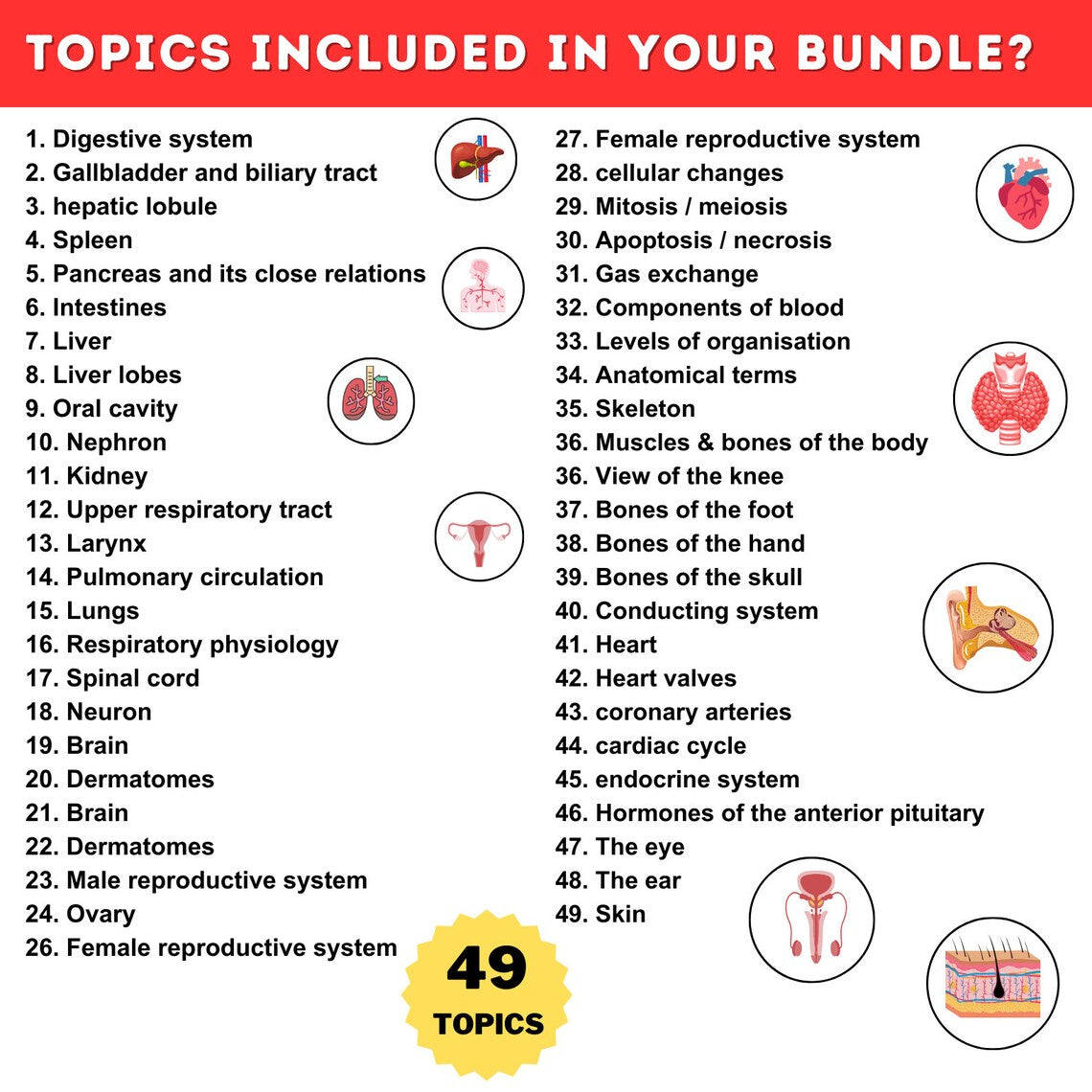 Anatomy & Physiology Flashcards | 49 Topics or 101+Pages | Nursing School Notes | Anatomy Study Guide | Instant Download PDF | Medical Note