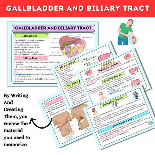 Anatomy & Physiology Flashcards | 49 Topics or 101+Pages | Nursing School Notes | Anatomy Study Guide | Instant Download PDF | Medical Note