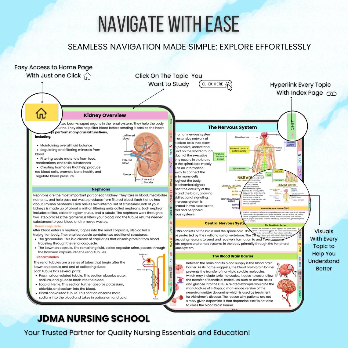 Medical Surgical Bundle fully Hyperlinked With Audio Book | Updated 25-26 | Med Surg Notes | Nursing Study Guide | Med-Surg | Nursing School