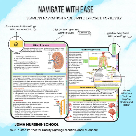 Medical Surgical Bundle fully Hyperlinked With Audio Book | Updated 25-26 | Med Surg Notes | Nursing Study Guide | Med-Surg | Nursing School