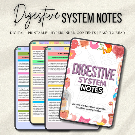 Digestive System Bundle with Flashcards, SVG's, Quiz or Sticker (Printable PDF)