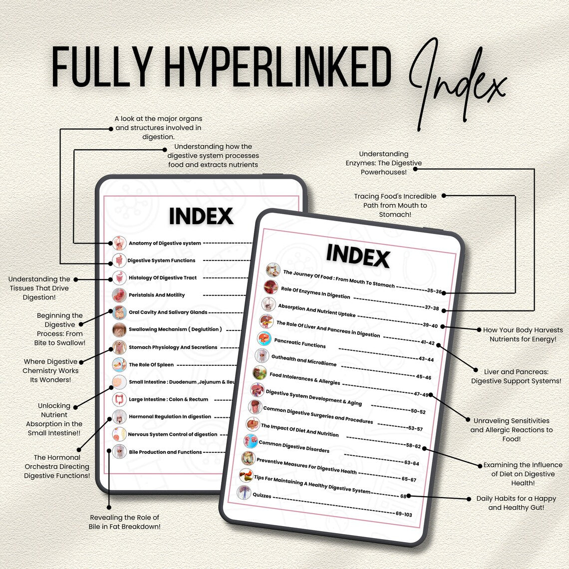 Digestive System Bundle with Flashcards, SVG’s, Quiz or Sticker | Human Body Study | Nursing Study Guide | Nursing School | Medical Sticker