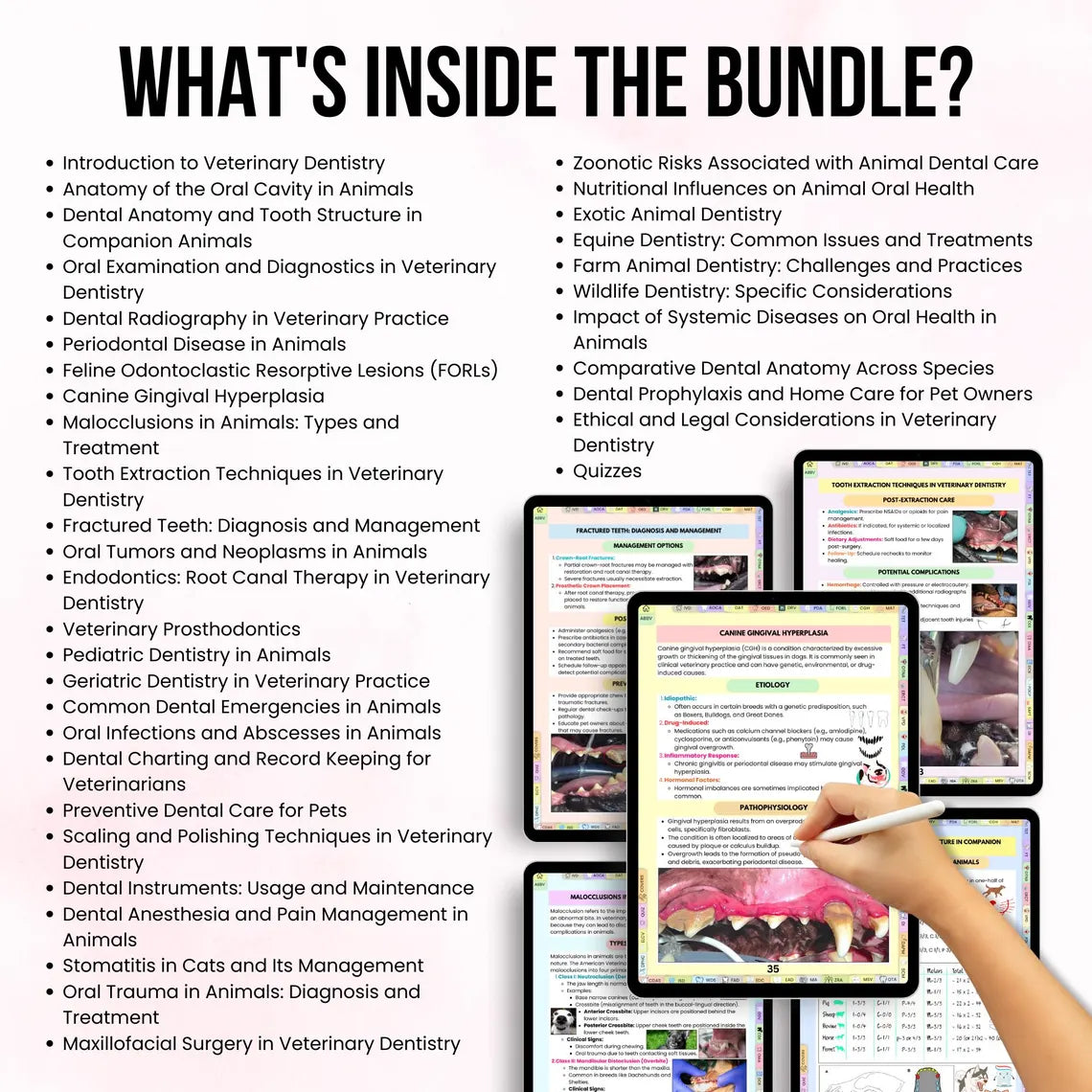 Veterinary Dentistry Notes Hyperlinked Bundle, Vet School Study Notes, UPDATED 2026-27, Vet Dentistry, Instant Download, Vet Dental Notes