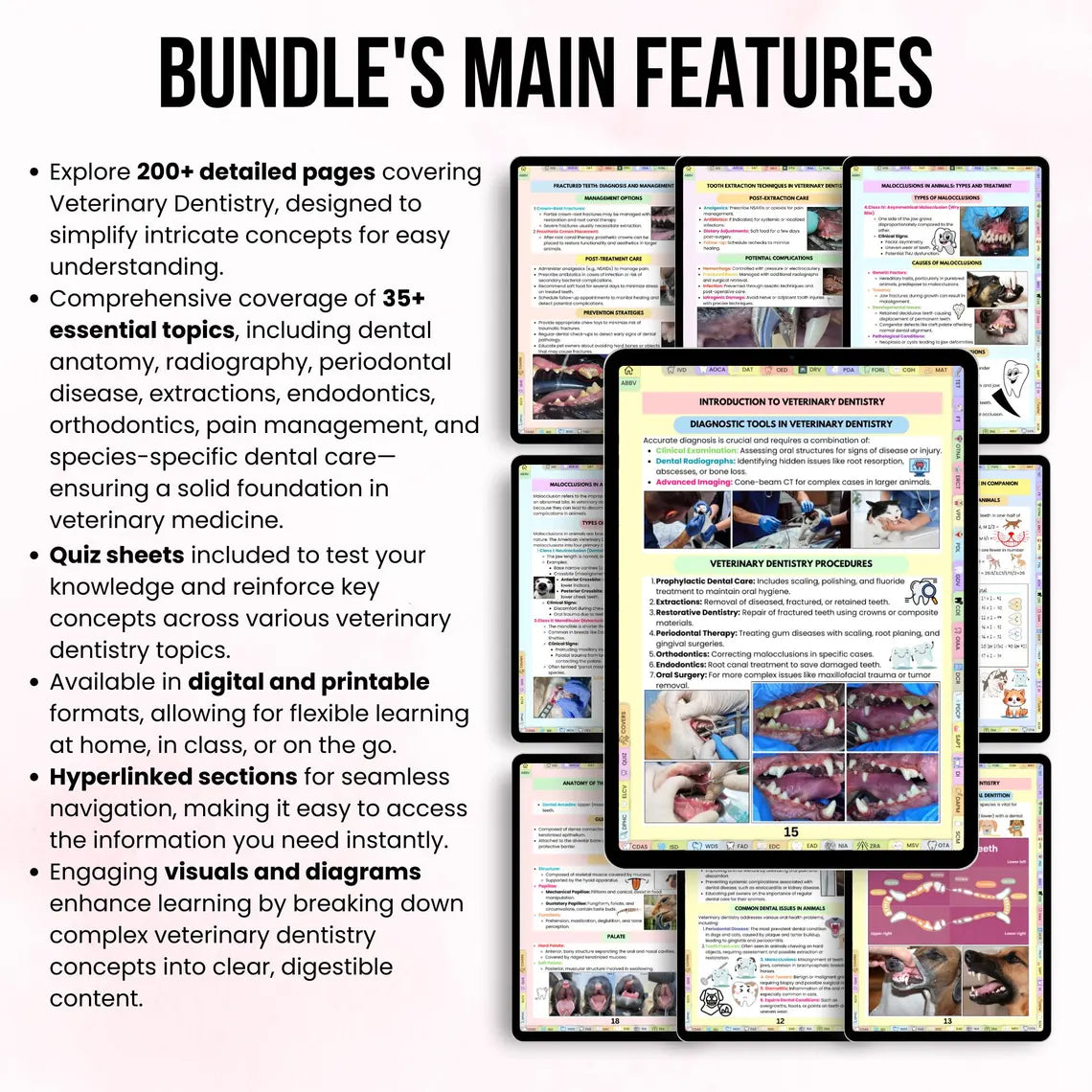 Veterinary Dentistry Notes Hyperlinked Bundle, Vet School Study Notes, UPDATED 2026-27, Vet Dentistry, Instant Download, Vet Dental Notes