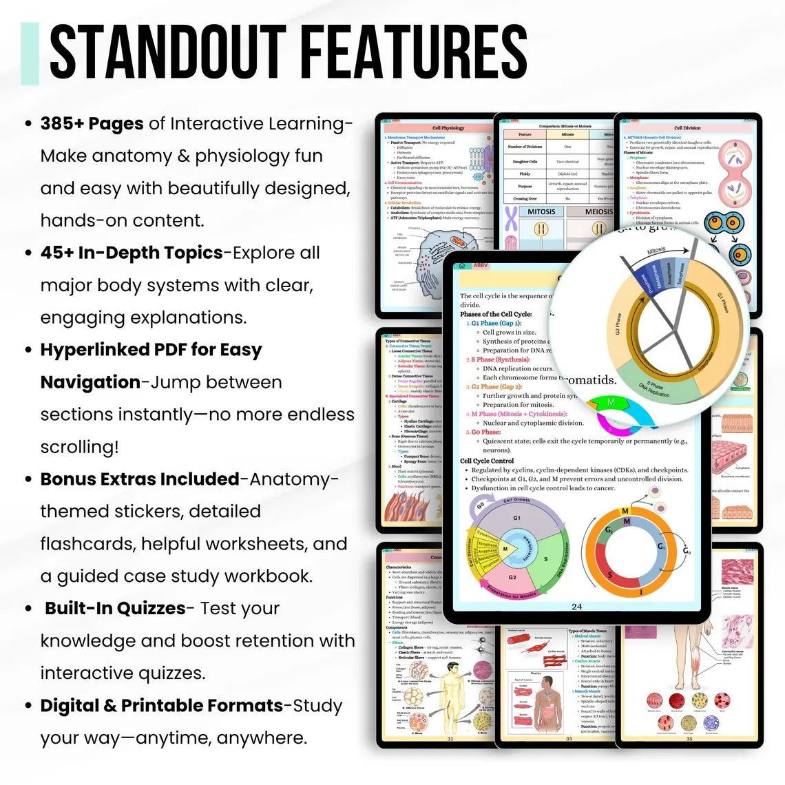 Anatomy & Physiology Volume 2 Hyperlink Bundle with Flashcards and Sticker Quizzes, Anatomy Study Guide, Nursing School Notes, Medical Notes