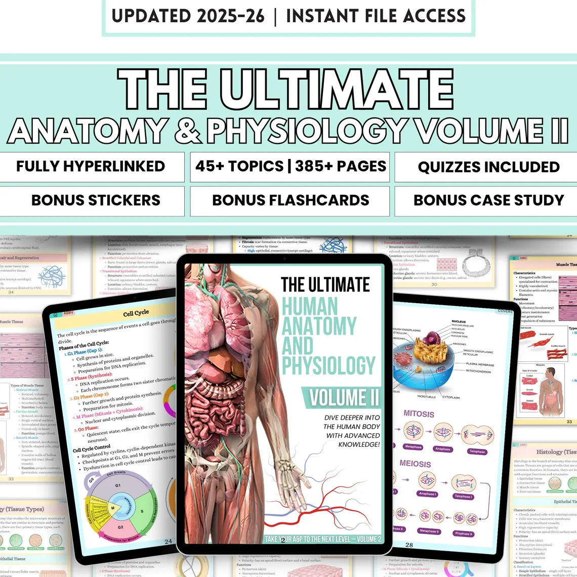 Anatomy & Physiology Volume 2 Hyperlink Bundle with Flashcards and Sticker Quizzes, Anatomy Study Guide, Nursing School Notes, Medical Notes