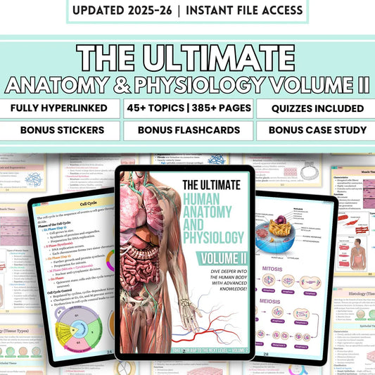 Anatomy & Physiology Volume 2 Hyperlink Bundle with Flashcards and Sticker Quizzes, Anatomy Study Guide, Nursing School Notes, Medical Notes