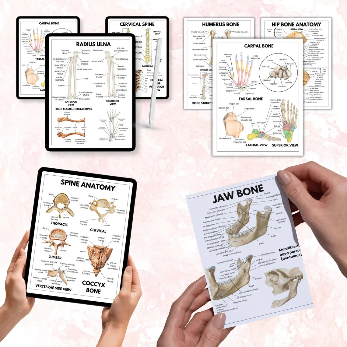 Anatomy human, Human Anatomy Guide for Nursing Students, Included Bonus Covers, Human Body Systems, Digital & Printable