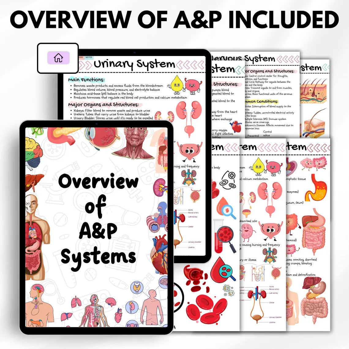 Anatomy & Physiology Case Study Workbook, 100+ Pages Medical Study Guide, 30+ Case Studies, Bonus Stickers Covers, Nursing Study Guide