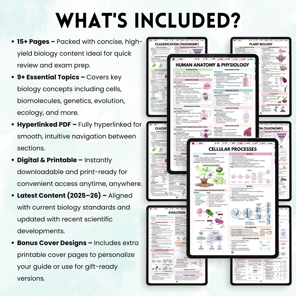Biology Quick Study Reference Guide, Study Aid For Students, Science Quick Reference, Biology Memory Aid, Instant Download