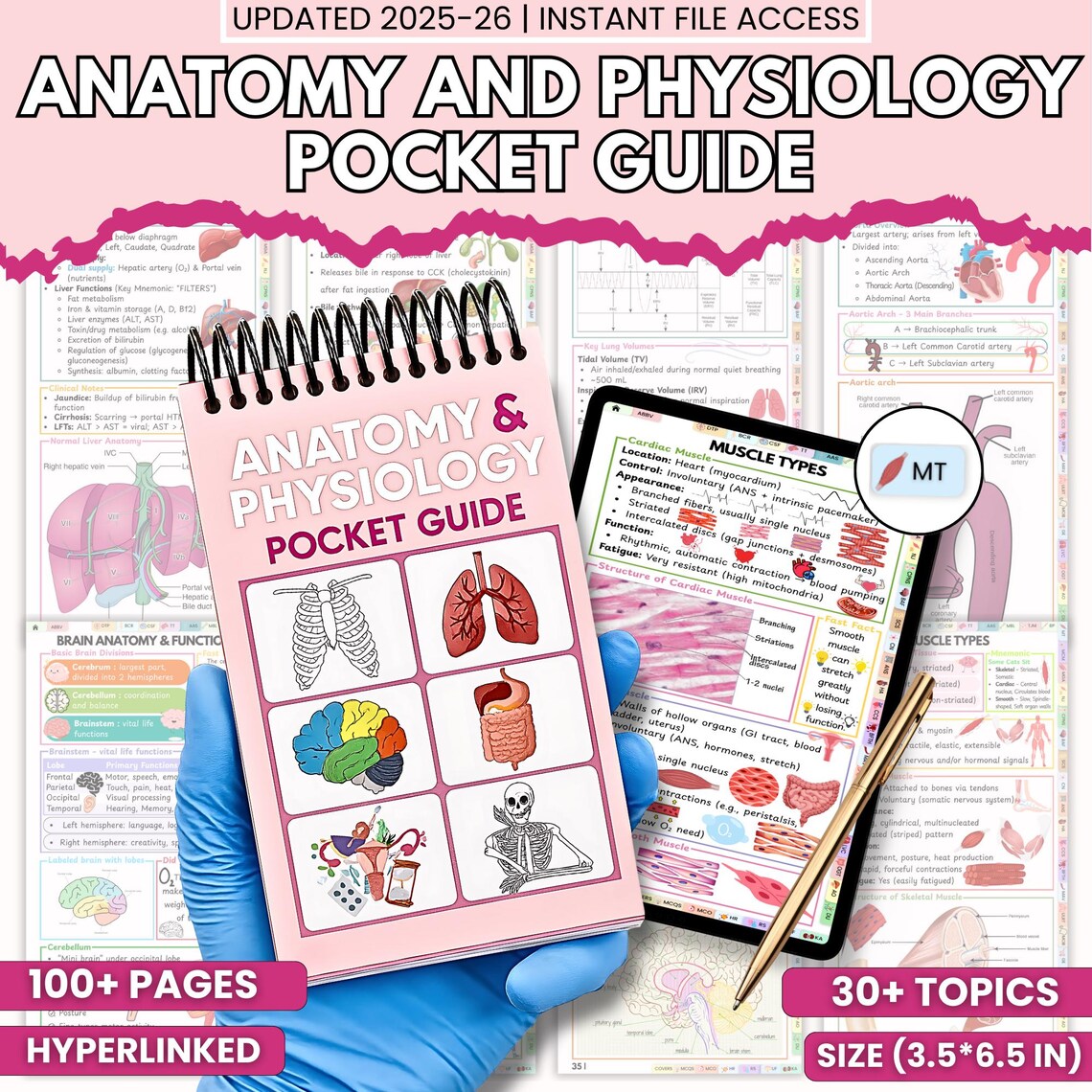 Anatomy and Physiology Pocket Guide, Medical Study Guide, Nursing Student Notes, A&P Quick Reference, Instant Digital Download