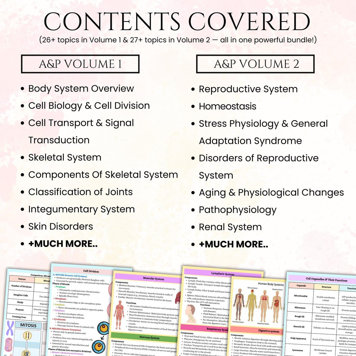 Anatomy & Physiology 435+ Pages Book | Anatomy Study Guide | Nursing School Notes | Physical Medical Notebook | Printable or Download PDF