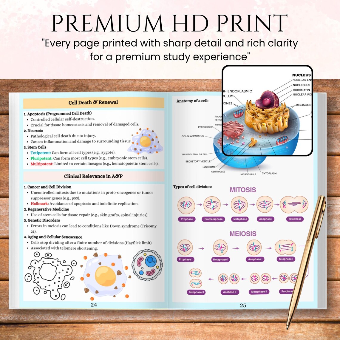 Anatomy & Physiology 435+ Pages Book | Anatomy Study Guide | Nursing School Notes | Physical Medical Notebook | Printable or Download PDF