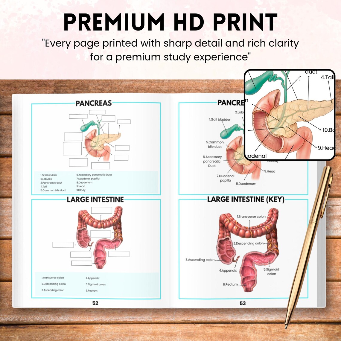 Anatomy Labeling Workbook Physical Book | Human Body Systems Study Guide | Nursing School Resource