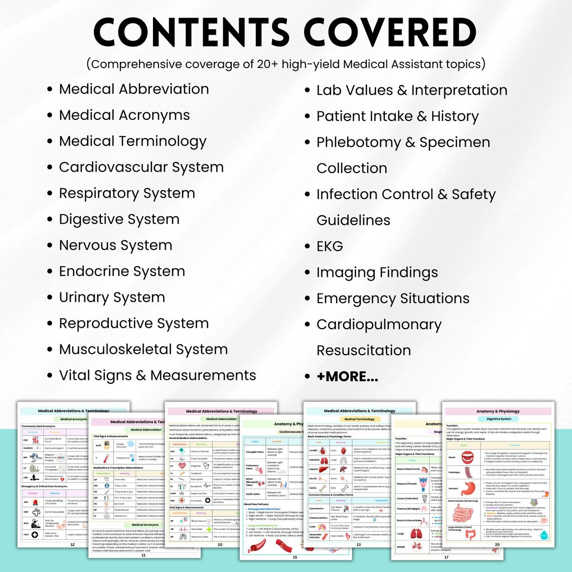 Medical Assistant Book | Notes & Cheat Sheets | Nursing Study Guide | 60+ Page Physical Medical Book