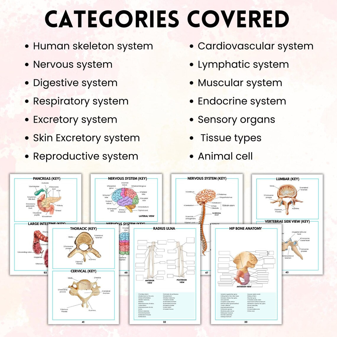 Anatomy Labeling Workbook Physical Book | Human Body Systems Study Guide | Nursing School Resource