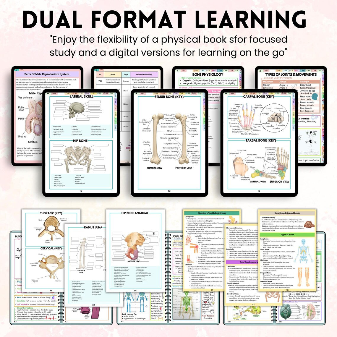 Anatomy and Physiology Master Study Pack | Printed A&P Vol 1 and 2 Pocket Guides + Labeling Workbook | Nursing Mega Bundle