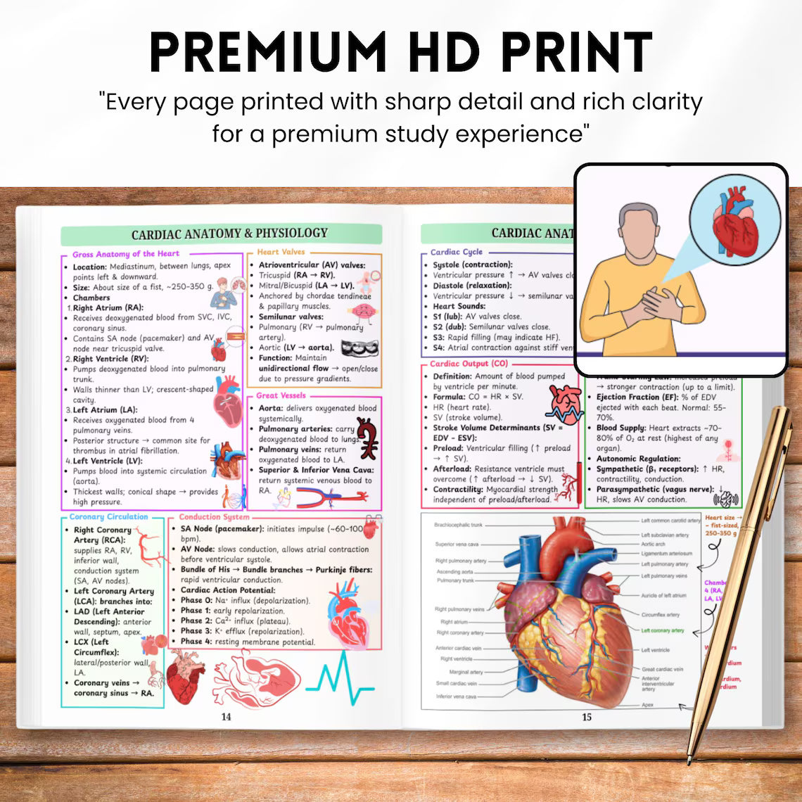 Echocardiography Study Guide Physical Book | Echo Student Resource | Heart Ultrasound Study Aid | Ultrasound Physics Notes