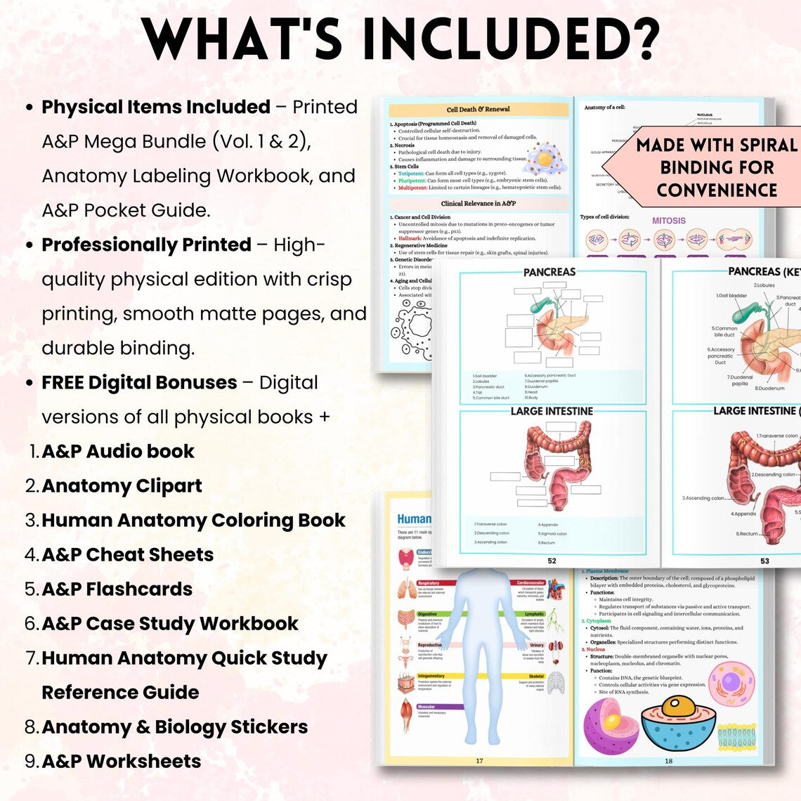 Anatomy and Physiology Master Study Pack | Printed A&P Vol 1 and 2 Pocket Guides + Labeling Workbook | Nursing Mega Bundle