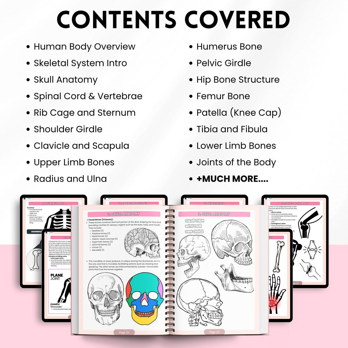 Human Anatomy Coloring Book Physical | Visual A&P Study Guide for Nursing Students | Printed Learning Book + Free PDF