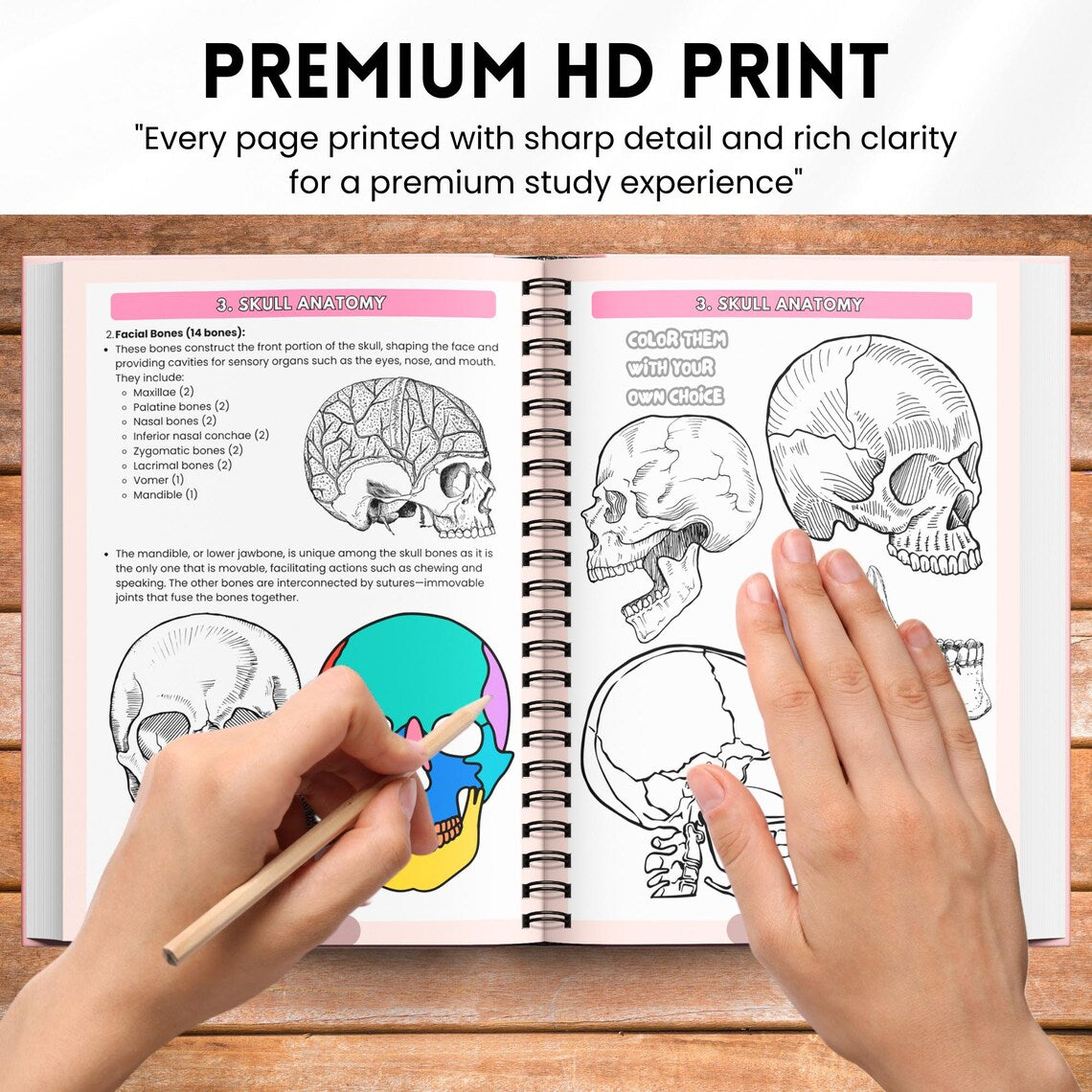 Human Anatomy Coloring Book Physical | Visual A&P Study Guide for Nursing Students | Printed Learning Book + Free PDF