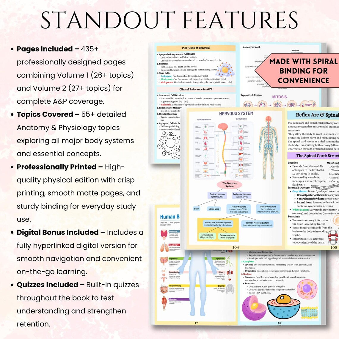 Anatomy & Physiology 435+ Pages Book | Anatomy Study Guide | Nursing School Notes | Physical Medical Notebook | Printable or Download PDF