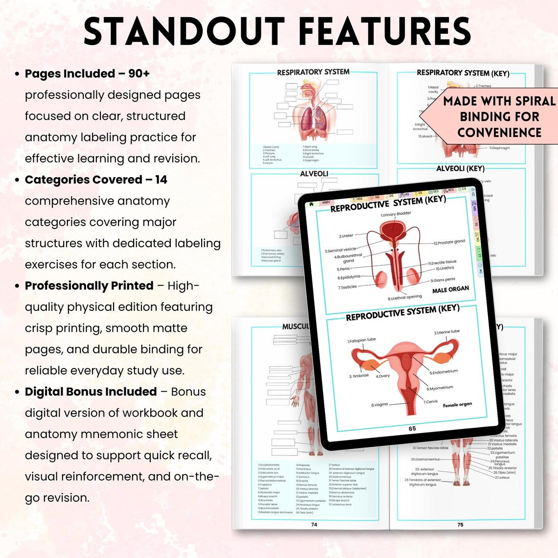 Anatomy Labeling Workbook Physical Book | Human Body Systems Study Guide | Nursing School Resource