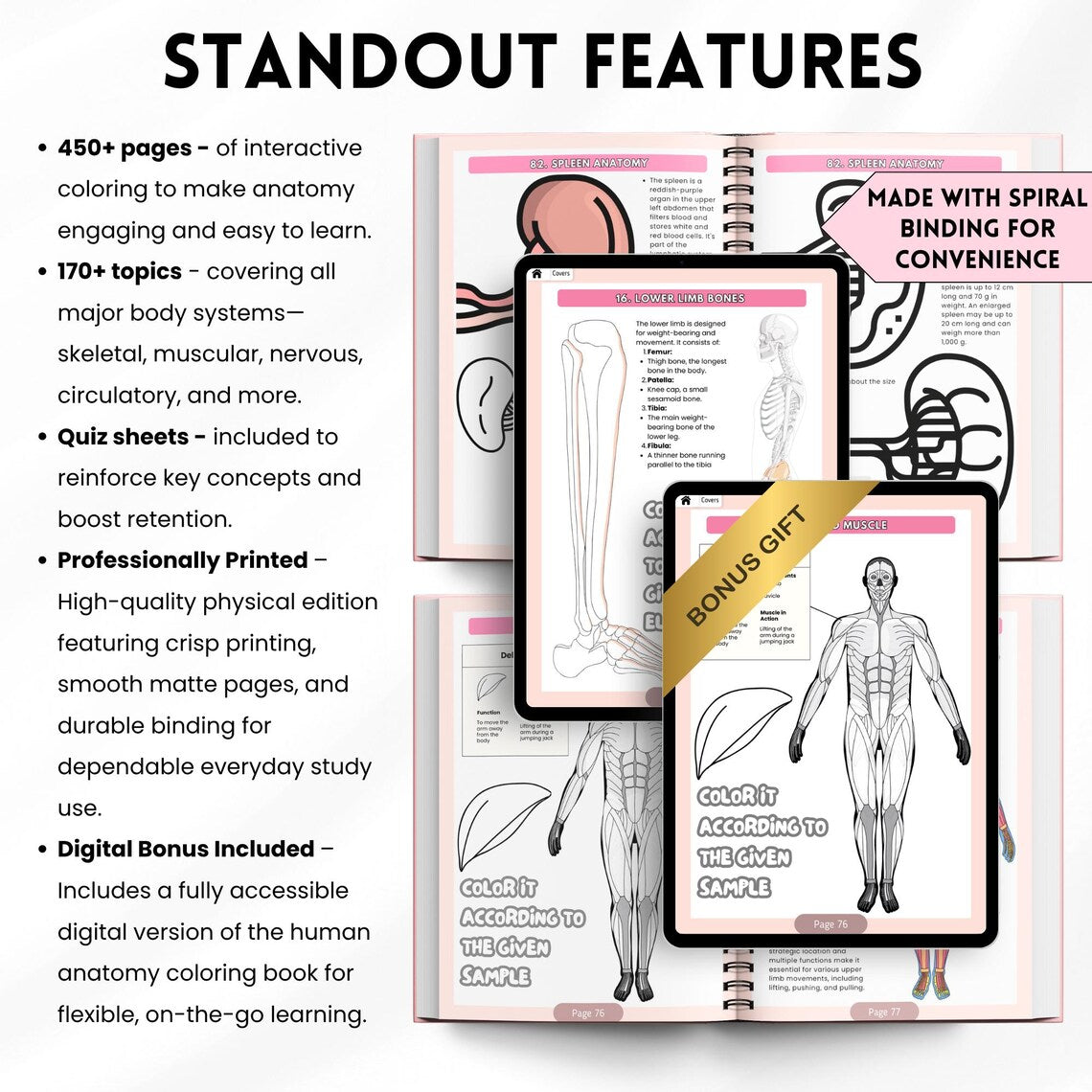 Human Anatomy Coloring Book Physical | Visual A&P Study Guide for Nursing Students | Printed Learning Book + Free PDF