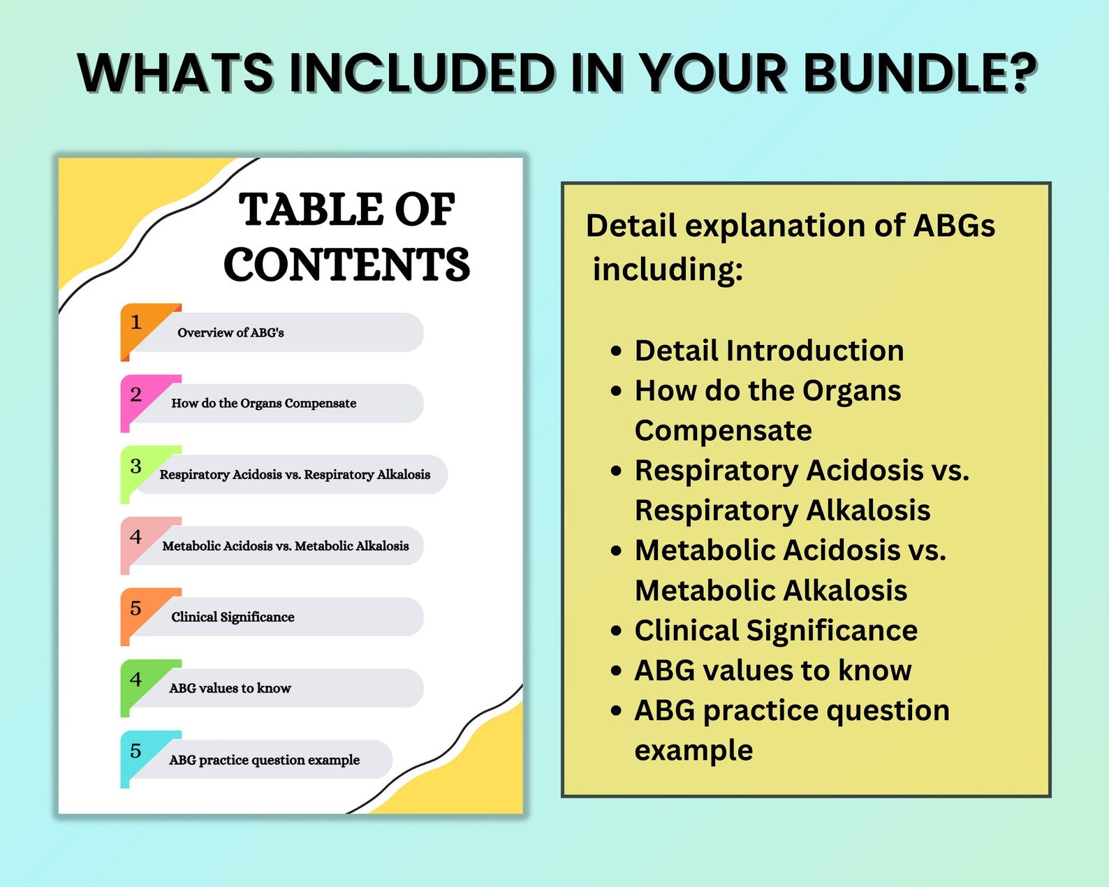 ABGs Bundle 21 Pages | Nursing Study Guide | Arterial Blood Gases | Nursing Notes | (ABGs) Study Guide | Pharmacology Study Guide