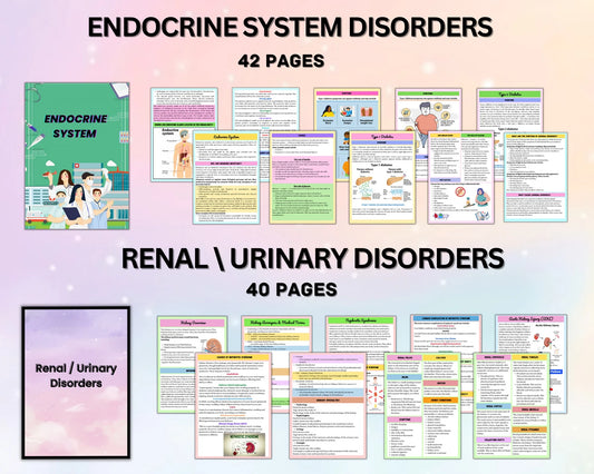 Med-Surg Study Bundle | Nursing Study Guide | Med Surg Notes | Medical-Surgical | Digital Download | Nursing School | Disorders