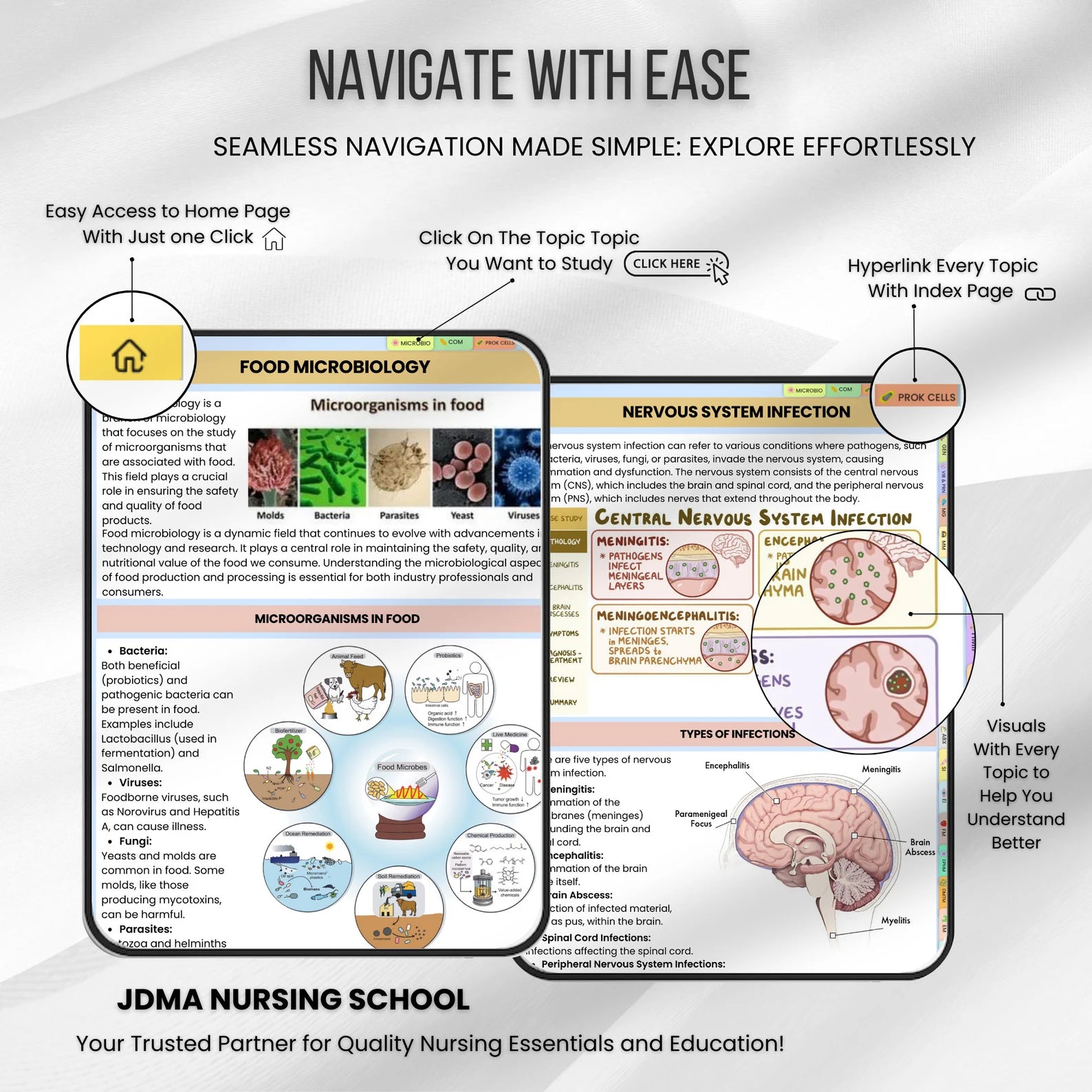Microbiology Bundle Fully hyperlinked | Medical School Notes | Flashcards & Stickers or Quiz | Digital PDF | Study Guide