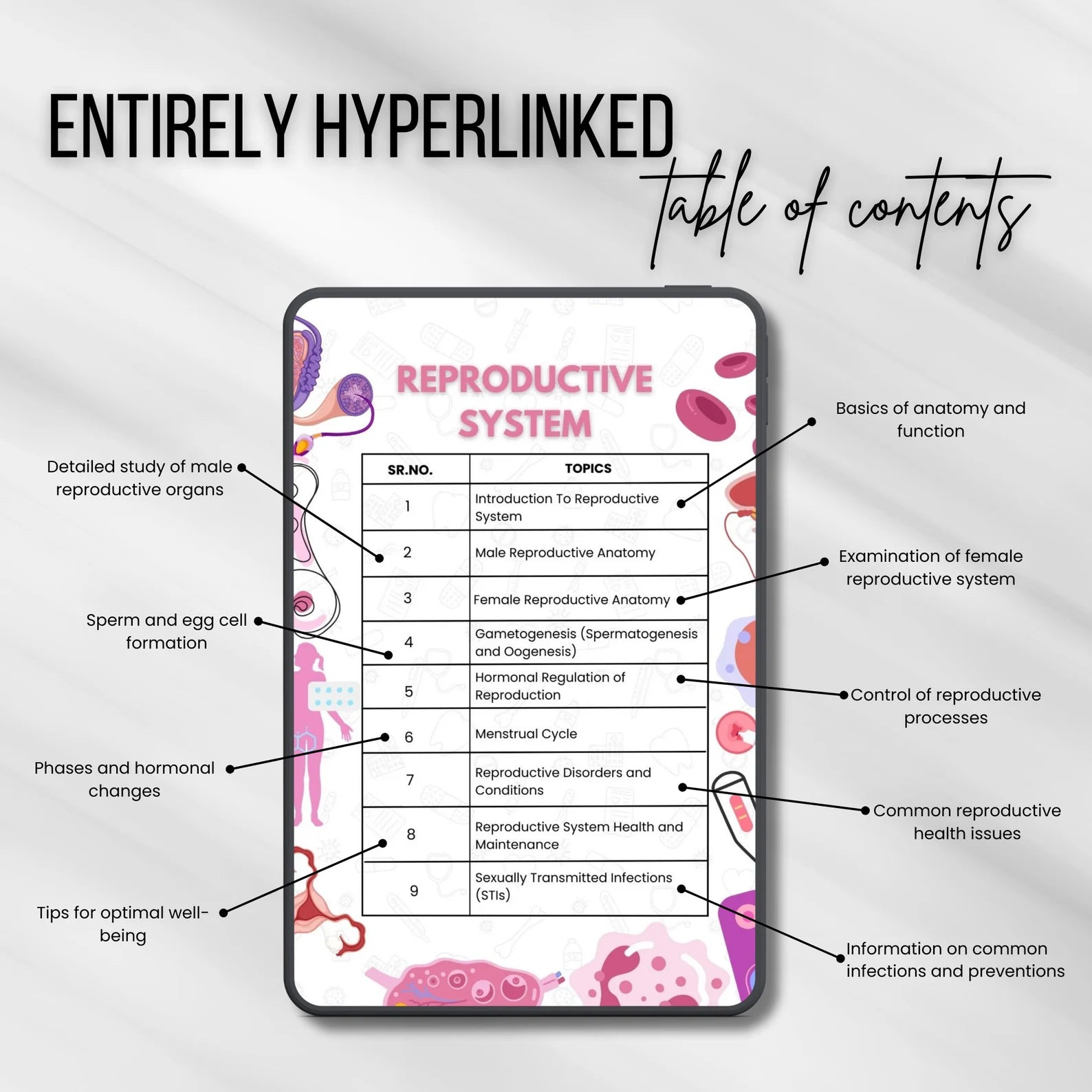 Reproductive System Notes Fully Hyperlinked 30+ Sheets | Study Guide | Female or Male Reproductive | Quiz Sheets
