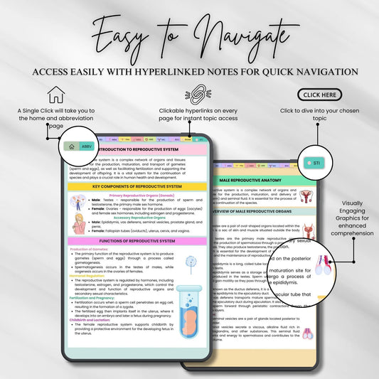 Reproductive System Notes Fully Hyperlinked 30+ Sheets | Study Guide | Female or Male Reproductive | Quiz Sheets
