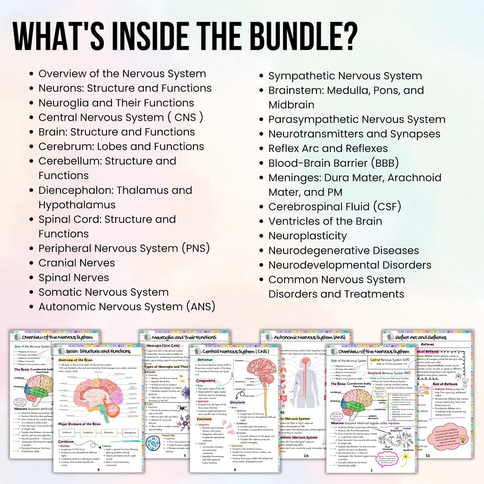 Nervous System Notes Hyperlinked, Bonus Flashcards Stickers Study Tips or Quiz, Neuro Anatomy, Med Surg Notes, Anatomy of Brain, Study Guide