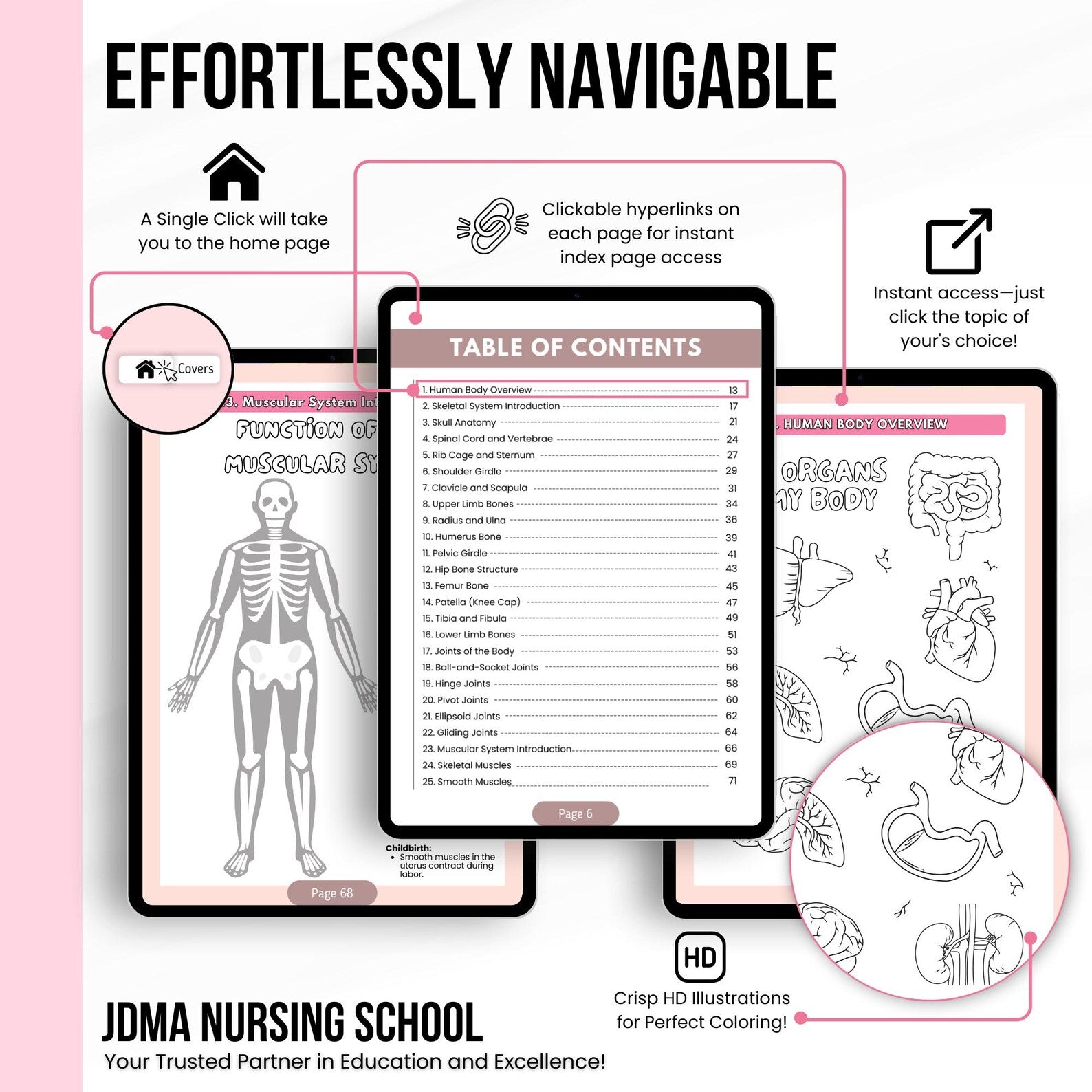 Human Anatomy Coloring Book, Anatomy Study Aid, Body Systems Coloring, Medical Coloring Book, Anatomy Coloring Pages, Instant Download