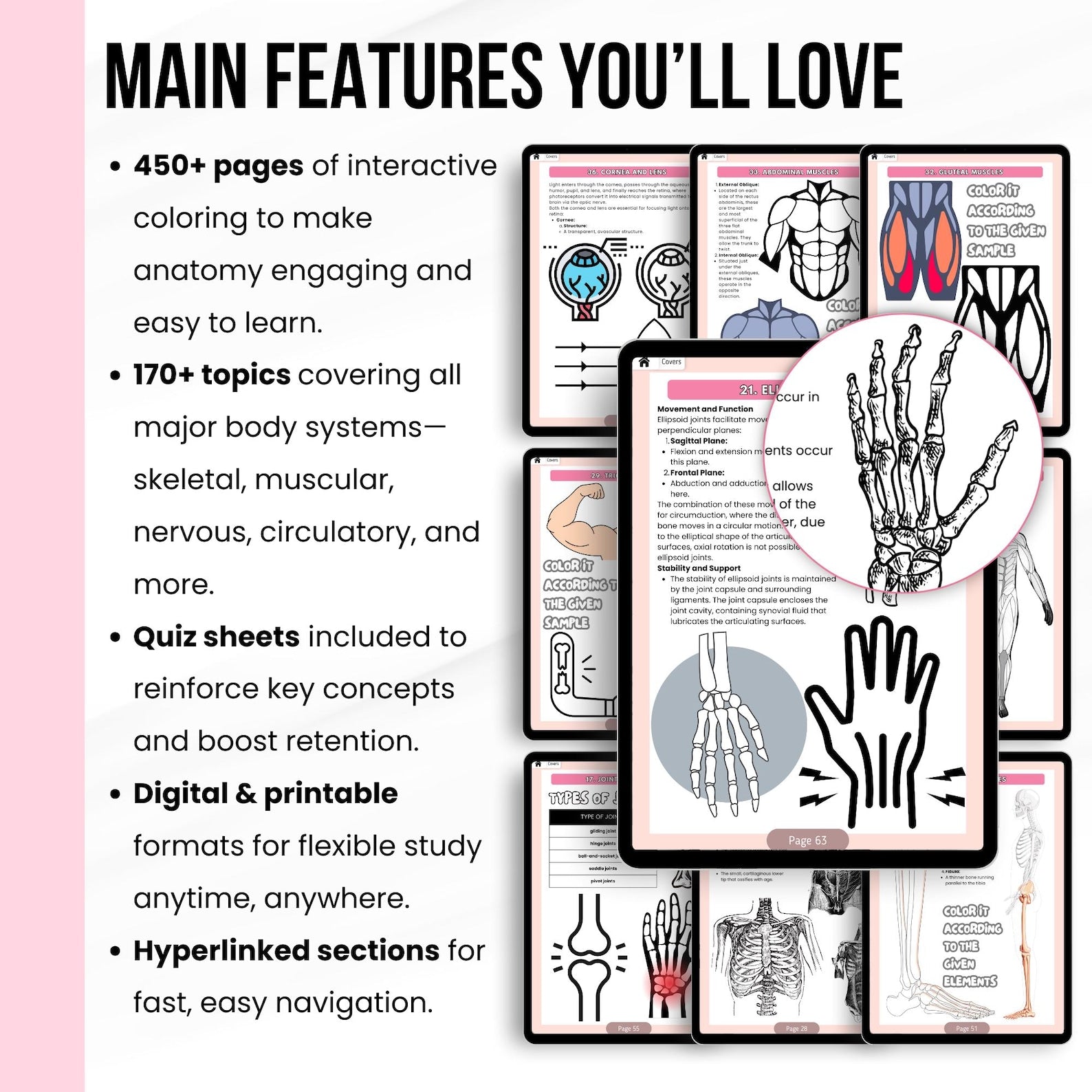 Human Anatomy Coloring Book, Anatomy Study Aid, Body Systems Coloring, Medical Coloring Book, Anatomy Coloring Pages, Instant Download